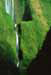 A05-28